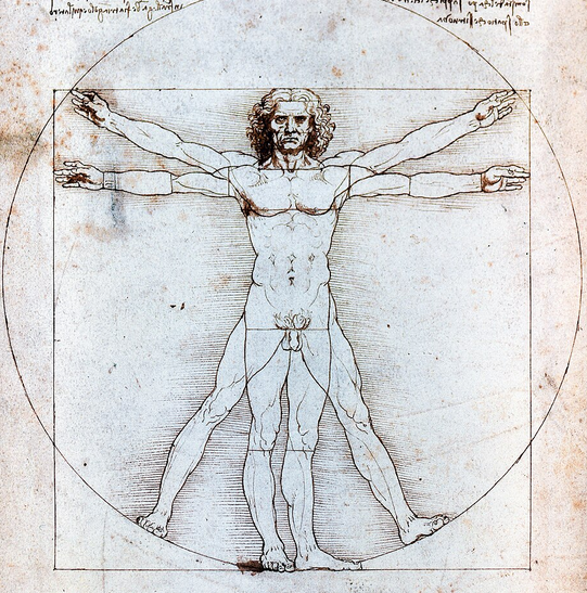 crtež proporcija ljudskog tijela – studij figure-leonardo-da-vinci